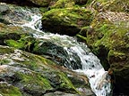 Mountain Stream