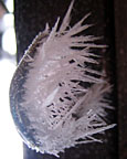 Ice crystals in Kinsman Pond Shelter